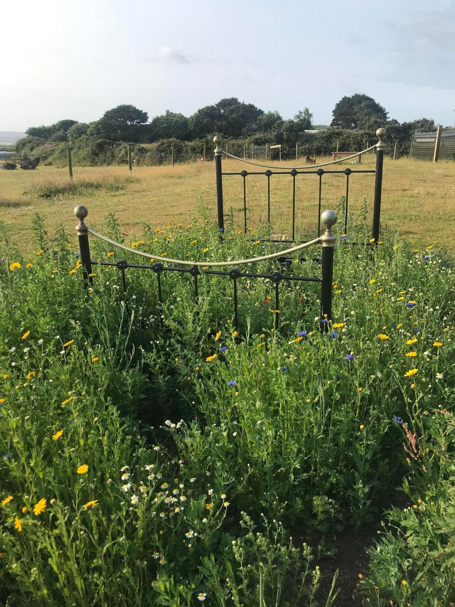 Farm stay Berty The Campervan Carbis Bay